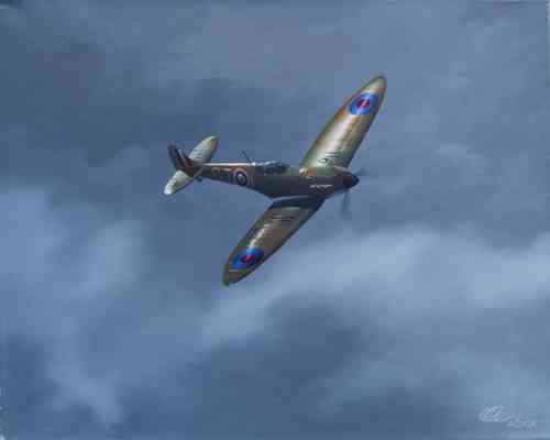 "Portrait of a Spitfire" Canvas Print